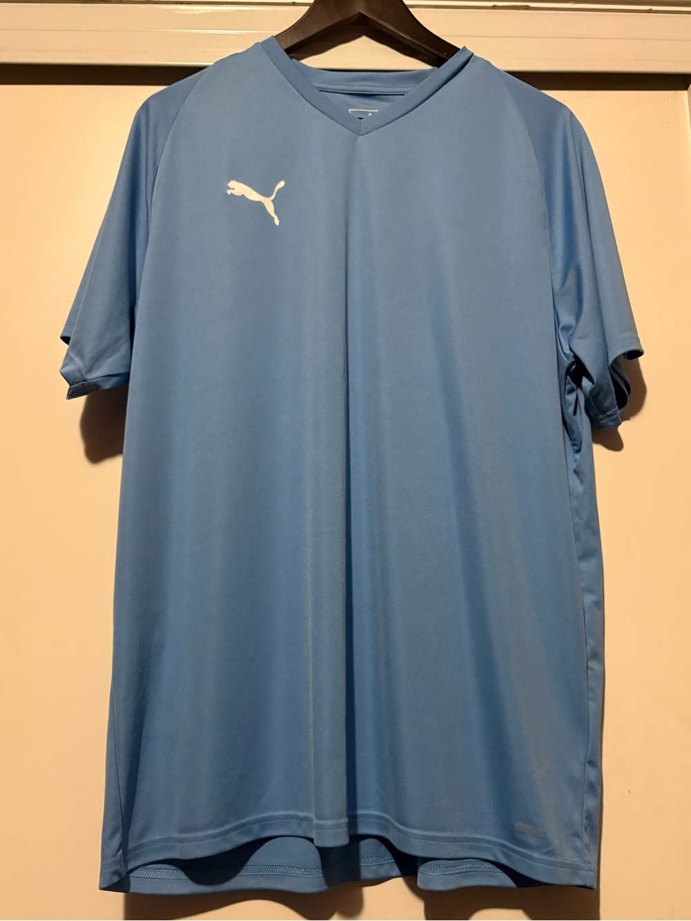 Puma Men’s Sky Blue V-Neck Training Jersey